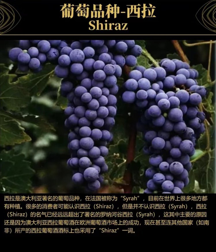 素材_38.jpg