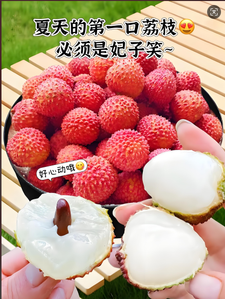 荔枝一.png